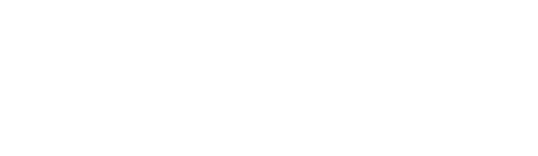 Mayoreo Global